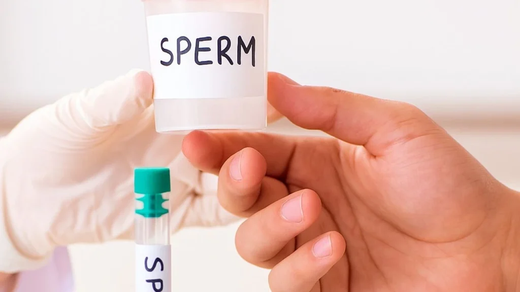 Sperm Donasyonu